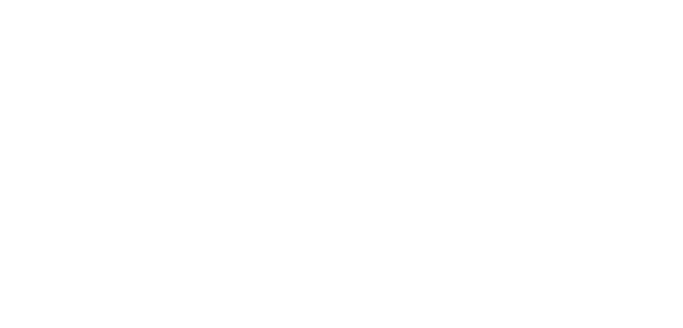 logo of the project